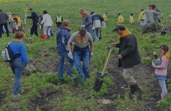 Long-term Management of Forest